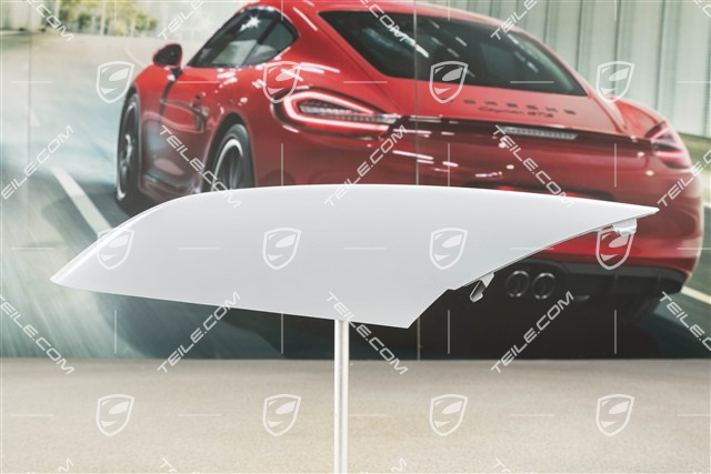 Front bumper disc / trim, lacquered, L