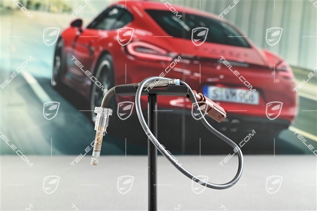 3,0 TDI, Temperaturgeber / Abgastemperatursensor