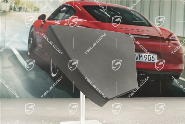 Türverkleidung, vorn, Blende, Einsatz, Schwarz, L