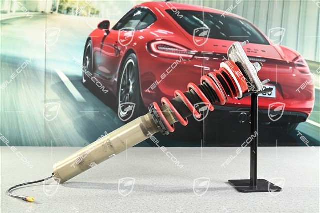 GT2 RS / GT3 RS, Stossdämpfer / Schwingungsdämpfer, VA, PASM, Komplett, L=R