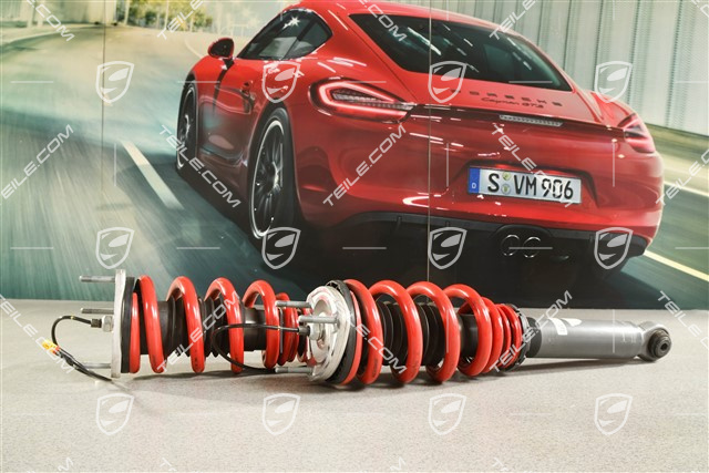 Stoßdämpfer, hinten, GT2 RS / GT3 RS  PASM, Satz, L+R