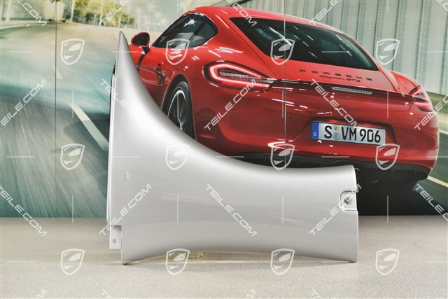 Carrera GT - Seitenteil / Kotflügel, L