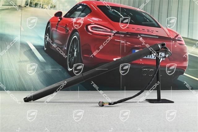 Damper cylinder Trunk / boot lid