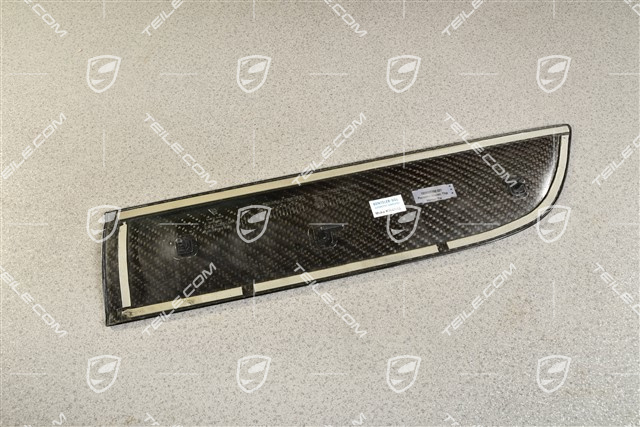 Rear door cover / trim, Carbon, R