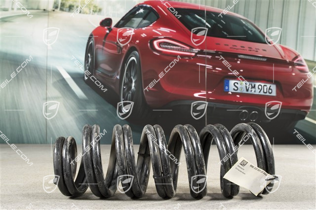 Schraubenfeder, HA, Coupe, 6 Gang Schaltergetriebe, Braun/Weiss