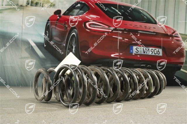 Turbo / C2 / C4, Schraubenfeder, HA, KENN - Grün