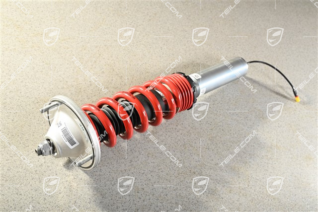 Stoßdämpfer für die Hinterradaufhängung, komplett, PASM, GT4 RS, L=R