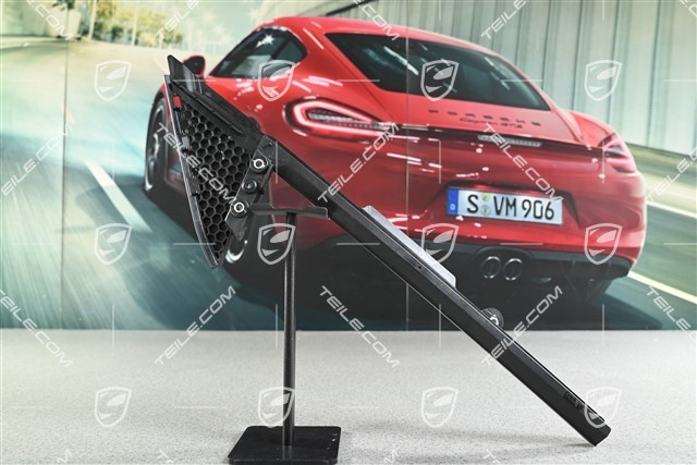 Fensterführung Vordertür, L