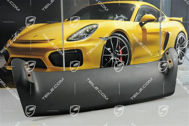 Rear spoiler, black, damaged