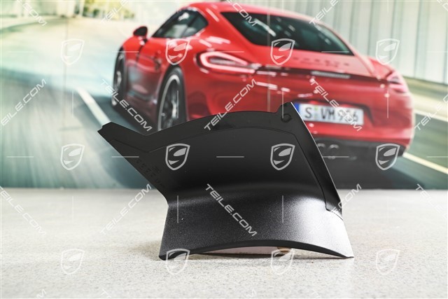 Rear light cover, outer, L