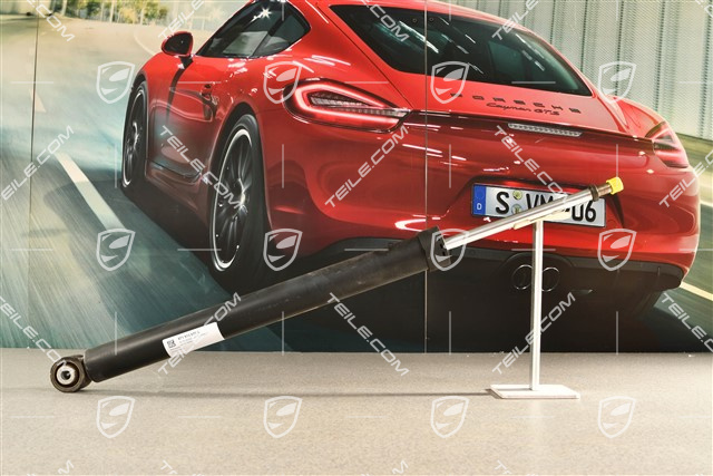 Stossdämpfer / Schwingungsdämpfer, HA, L=R