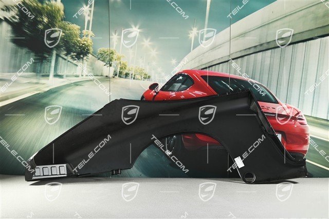 Targa, Seitenteil, Reparaturblech, SWB, L