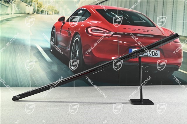 Rear door moulding, High Gloss Black, L