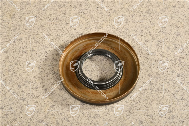 Sealing ring / oil seal