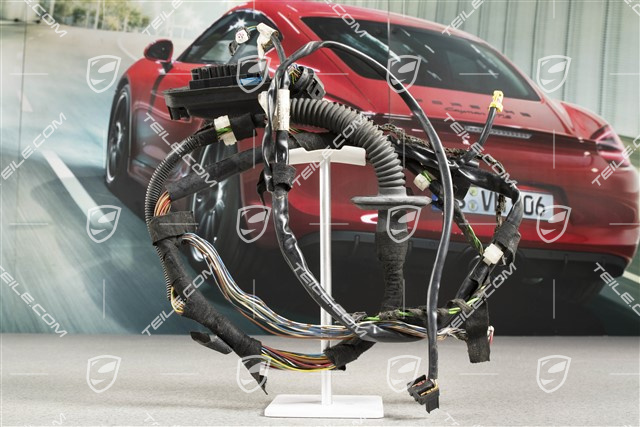 Kabelstrang, Türtafel, Beifahrertür, R