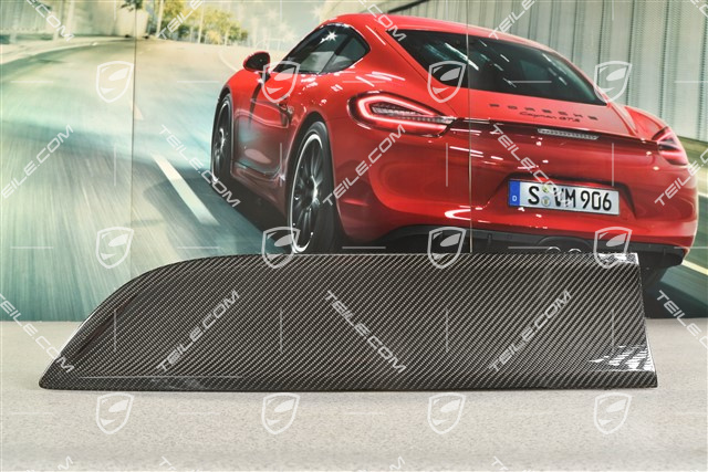 Rear door cover / trim, Carbon, L
