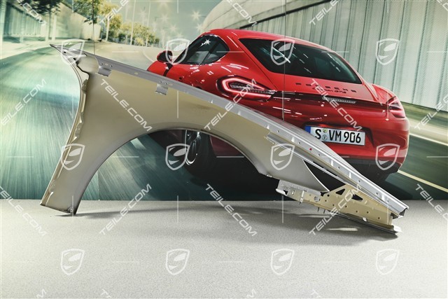 Wing, a little damaged, L