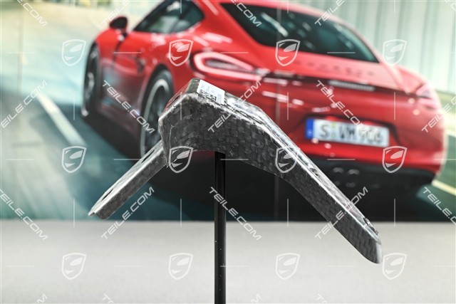 718 GT4, Wspornik błotnika, R