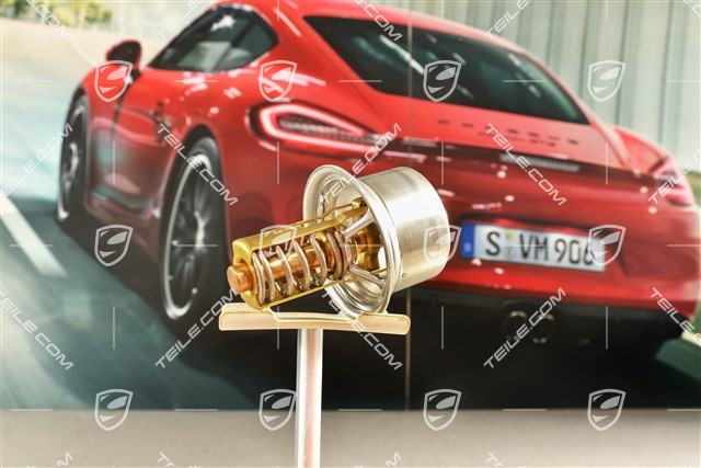GT3, GT3 RS, Thermostat insert
