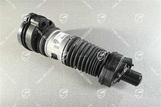 Stossdämpfer / Schwingungsdämpfer, Luftfederung, VA, PASM, L