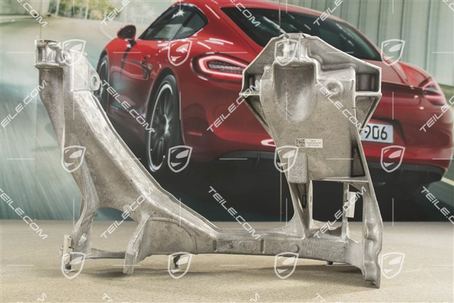 Rear suspension side section / panel, Spyder, L
