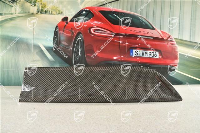Blende, Tür, Hinten, Carbon, R