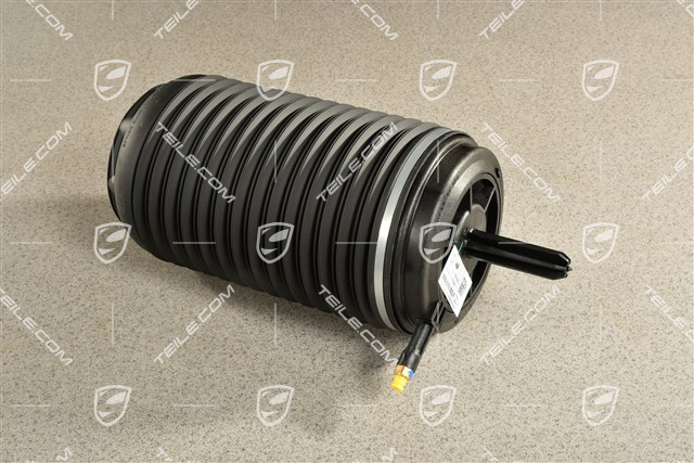 Luftfeder, hinterachse, PASM, R