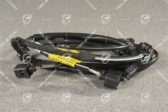 Wiring harness, rear bumper, C2/C2S, PDC