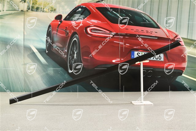 Rear door moulding, Rallye Black, L