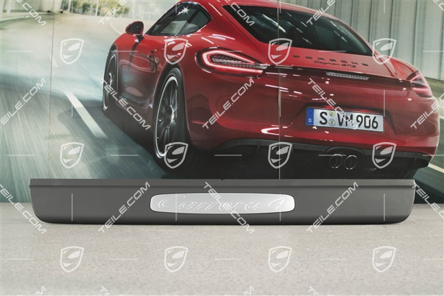 Einstiegleiste, lackiert, Carrera 4, L=R