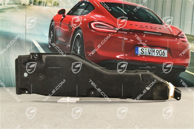 Underbody cover / protection, rear, L