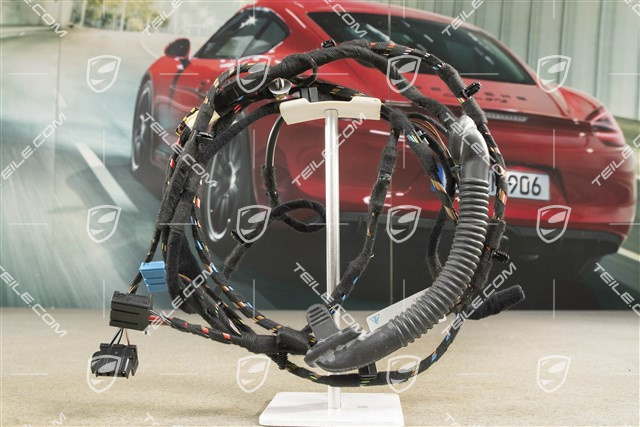Wiring harness, rear lid