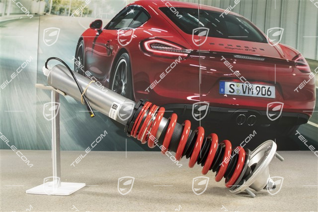 Schwingungsdämpfer, Komplett, PASM, Hinterachse, GT4, L=R