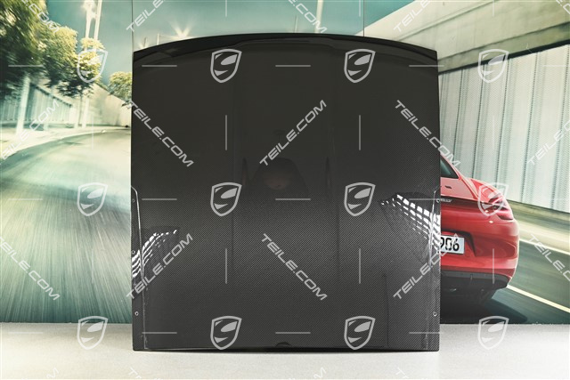 Outer roof panel, carbon, GT3RS, Weissach package, without antenna