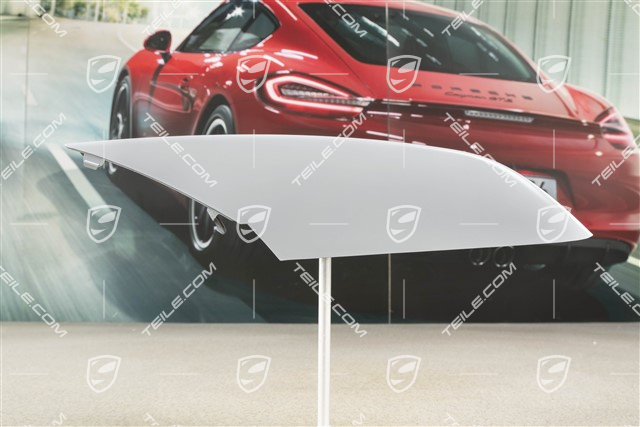 Front bumper disc / trim, lacquered, R