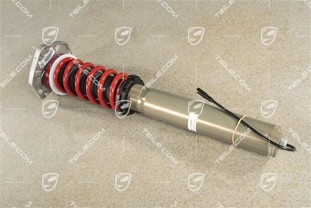 Stossdämpfer / Schwingungsdämpfer, VA, PASM, Komplett, GT4, L=R