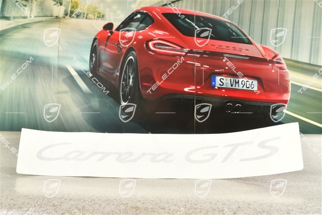 Schriftzug seitlich "Carrera GTS", Silber, Dekorfolie, L=R