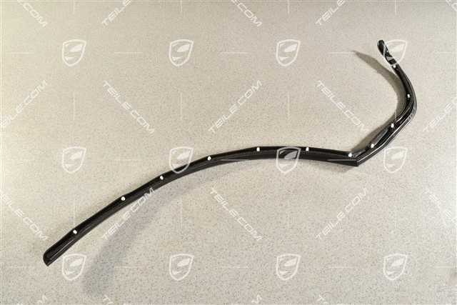 Türdichtung, aussen, hinten, R