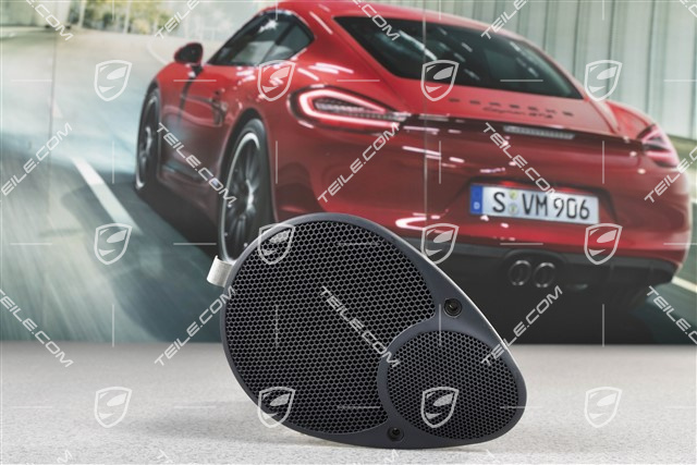 Lautsprecher, Metropolblau, Cabrio, Hinten, L