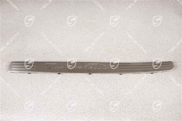 Blende, Einstiegleiste, Vorne, Edelstahl, GTS, L