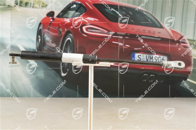 Front bonnet gas strut, L=R