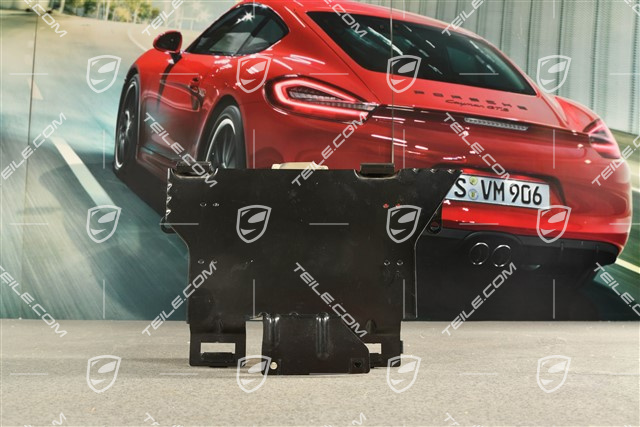 Halterung für Verstaerker, Soundpaket Bose / Harmann