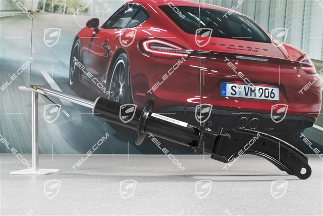 Stossdämpfer / Schwingungsdämpfer, VA, PASM, R