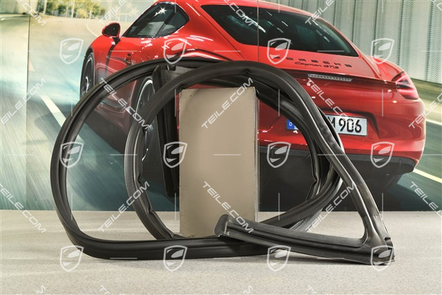 Chassis / Body Gasket / seal, Targa