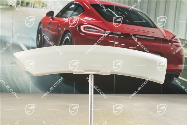 Wheel cover, side section, rear, R