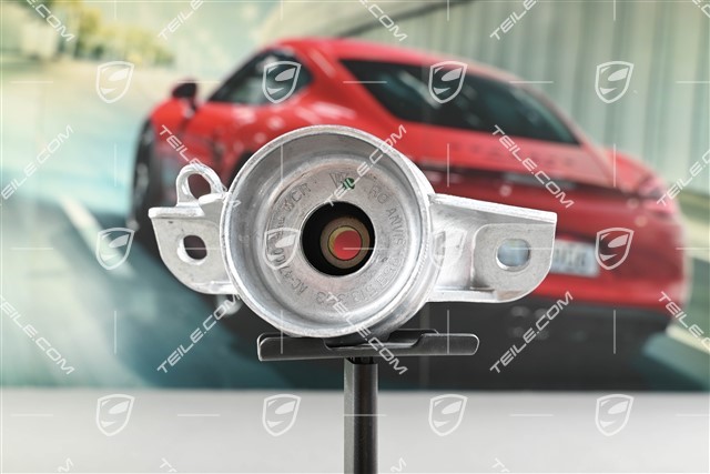 Stossdämpfer / Dämpferlager,Stützlager, Hinten, PASM, L=R