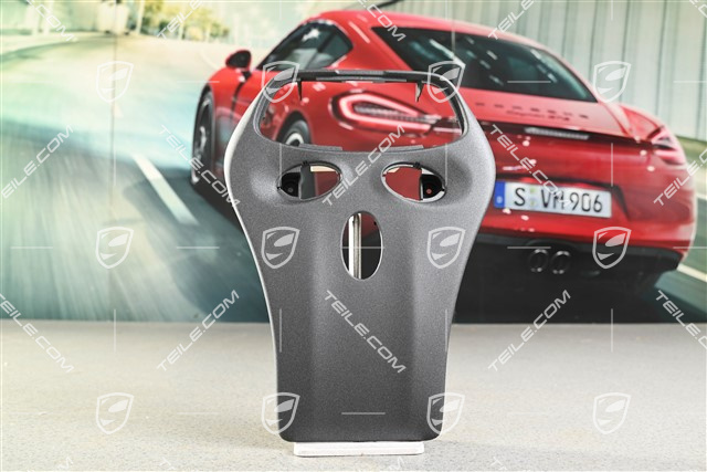 Abdeckung von Innenleuchte, Coupe, Elektrisches Schiebedach, Granitgrau