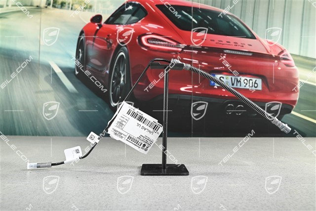 Bremsschlauch, VA, PCCB, L