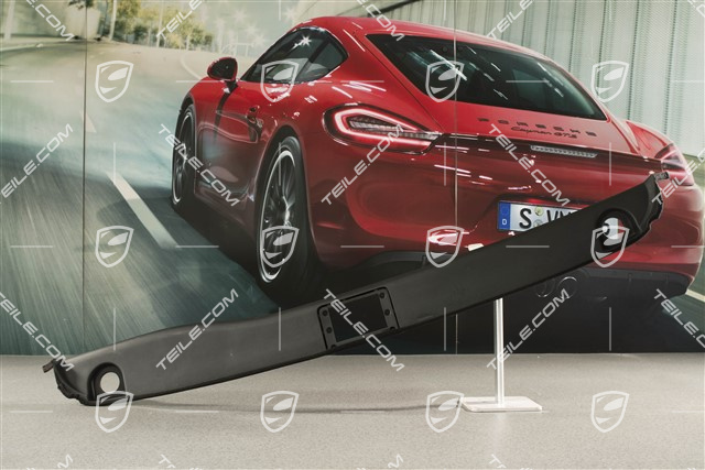 Rückwandverkleidung, Targa