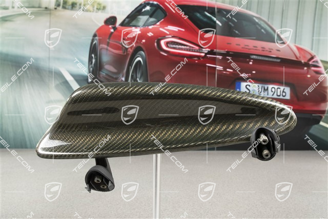 Deckel, Ablagefach, Carbon, R